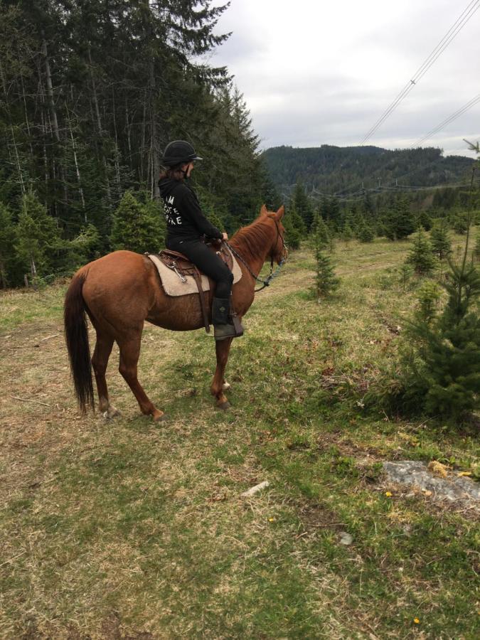 Maple Heart Ranch Hotel Shawnigan Lake Екстериор снимка